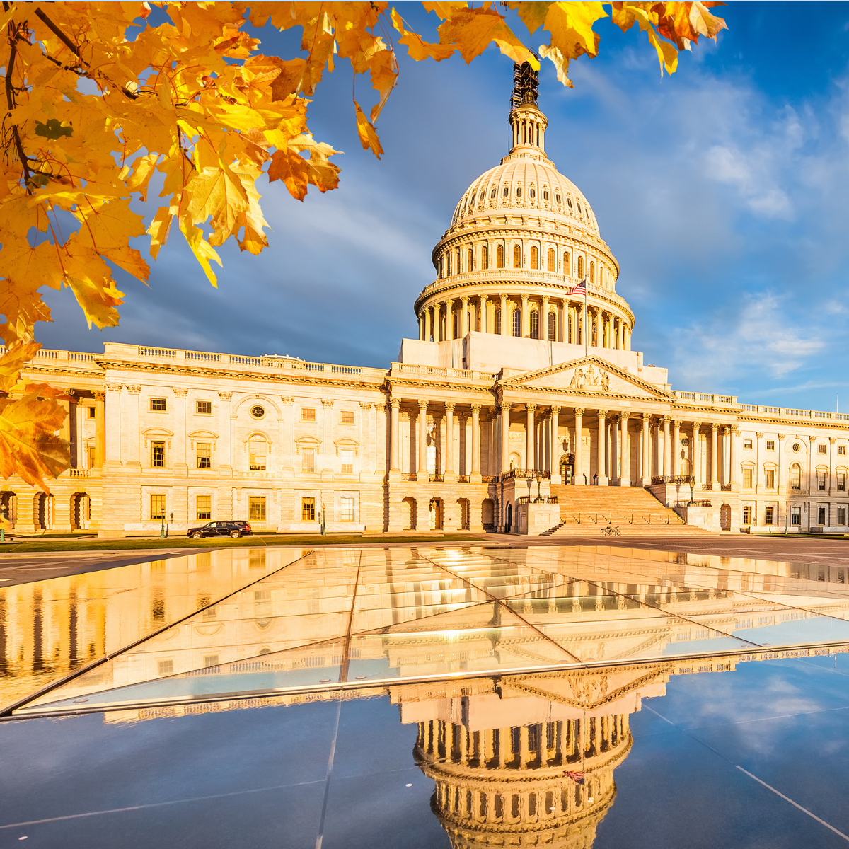 Fall Capitol